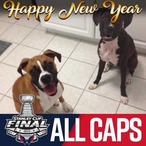 Meet your Posher, Janelle